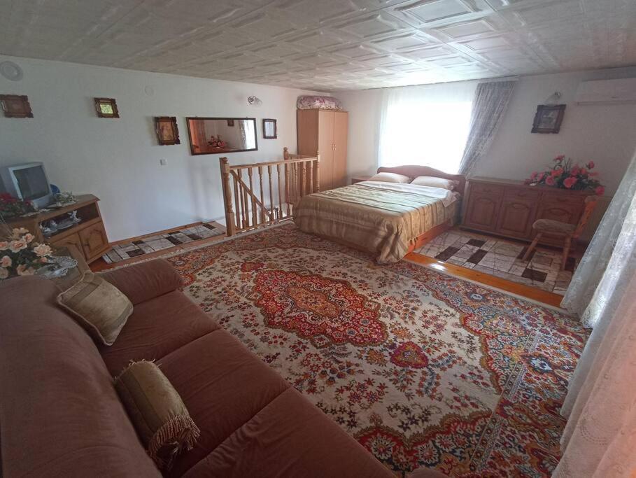 Villa Jj Zavoi Orăştie Exterior foto