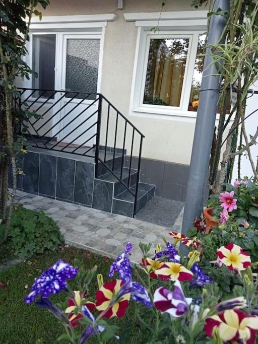 Villa Jj Zavoi Orăştie Exterior foto