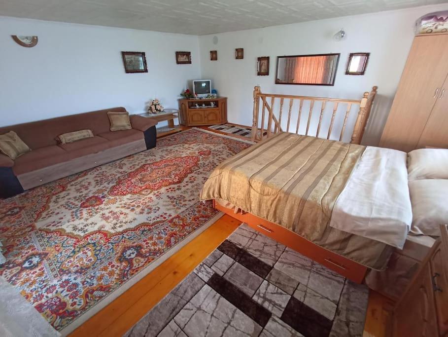 Villa Jj Zavoi Orăştie Exterior foto