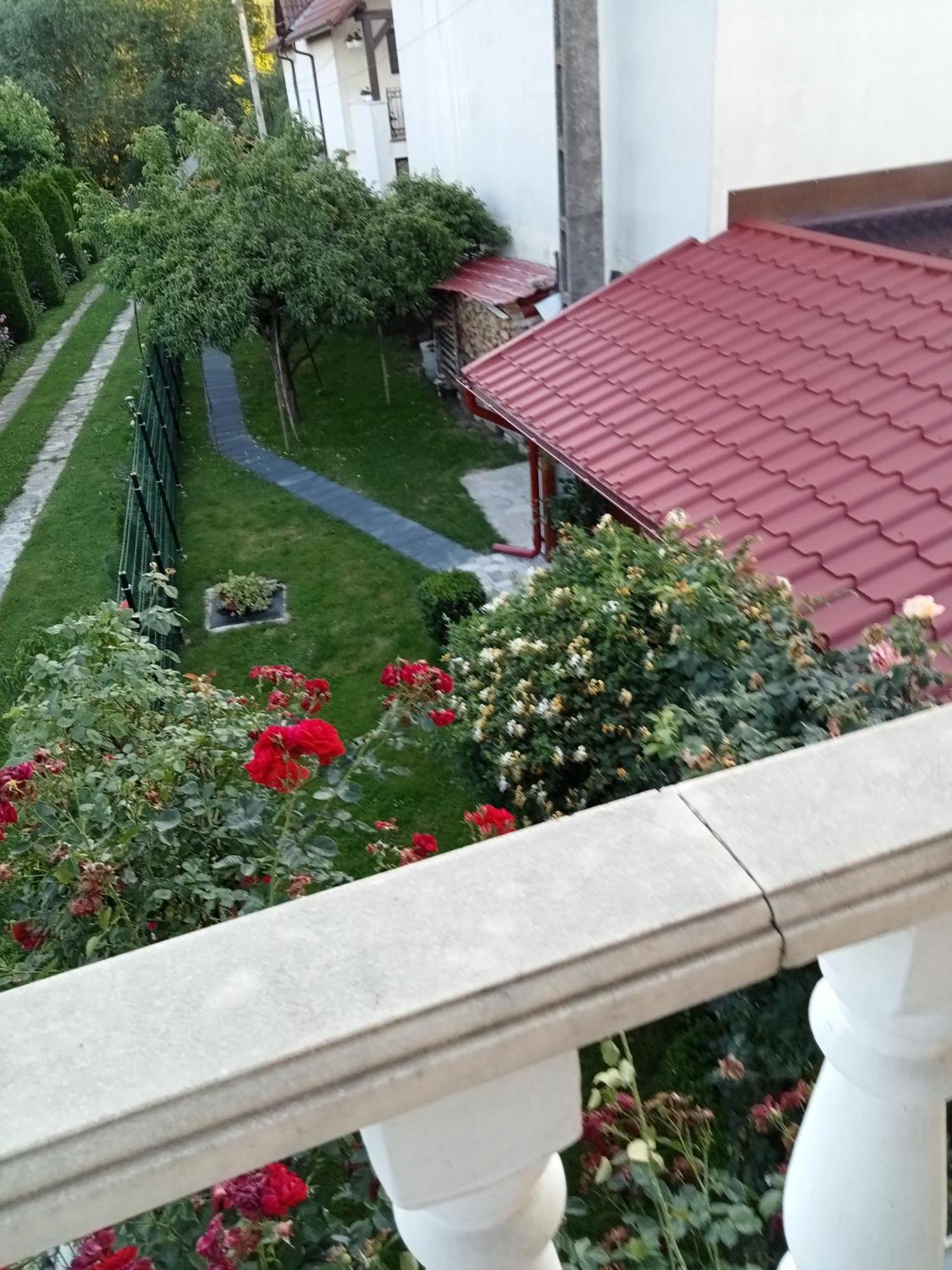 Villa Jj Zavoi Orăştie Exterior foto
