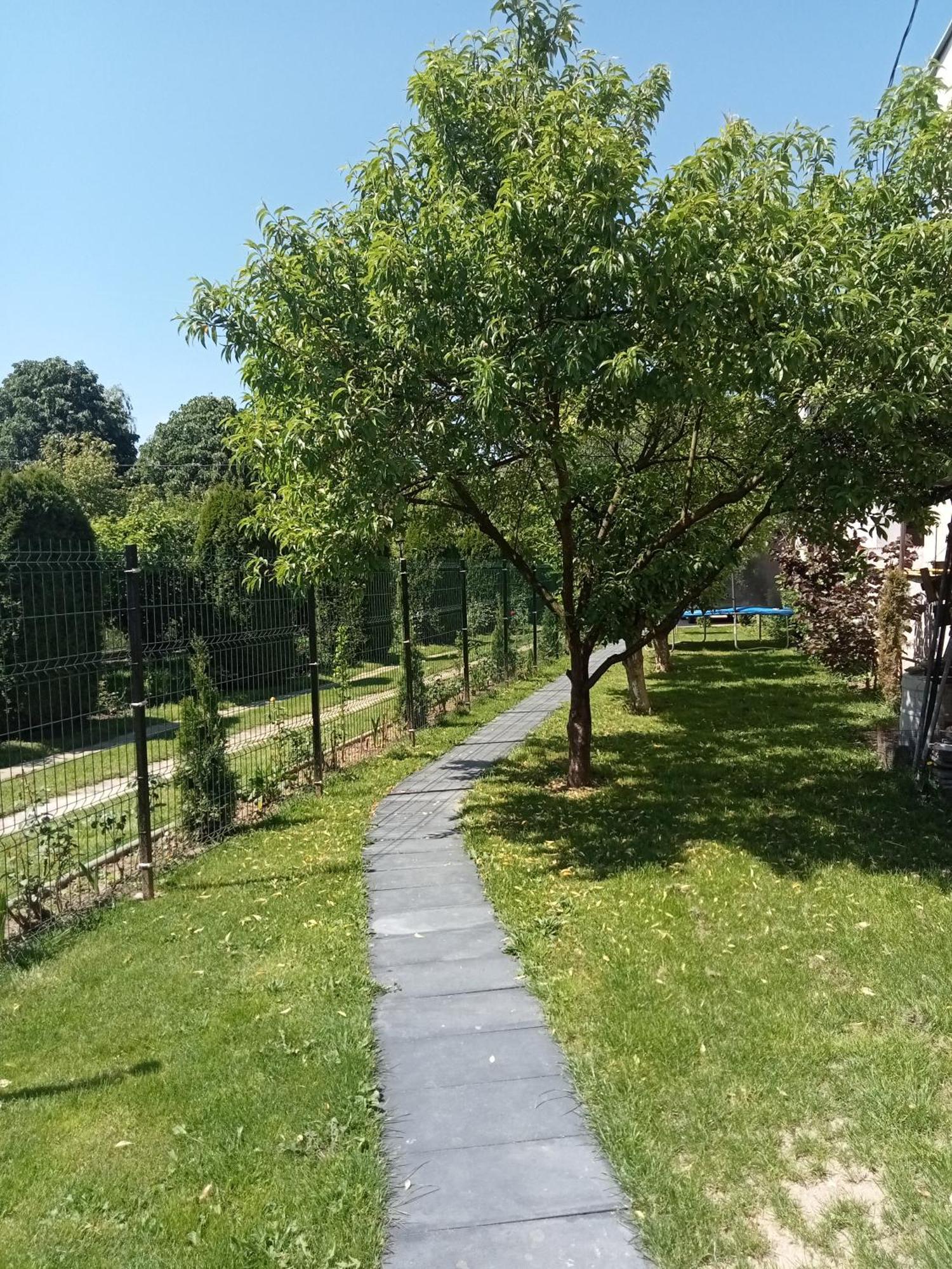 Villa Jj Zavoi Orăştie Exterior foto