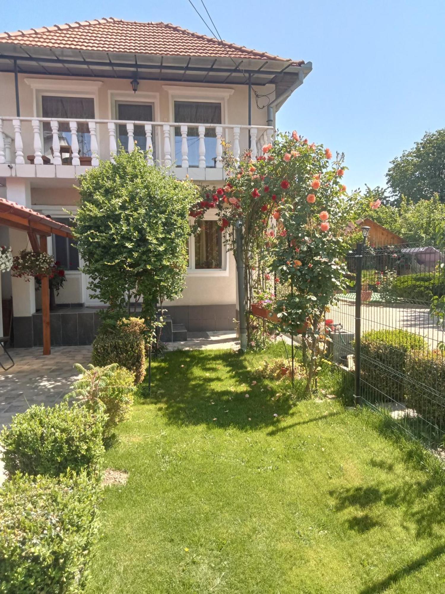 Villa Jj Zavoi Orăştie Exterior foto