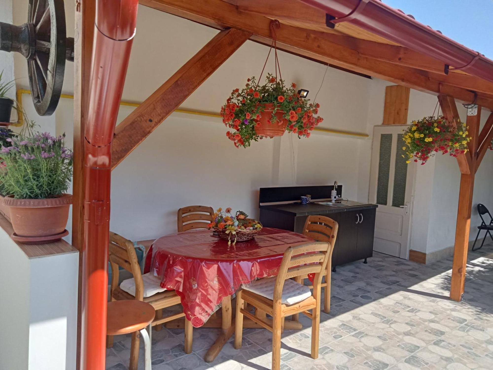 Villa Jj Zavoi Orăştie Exterior foto