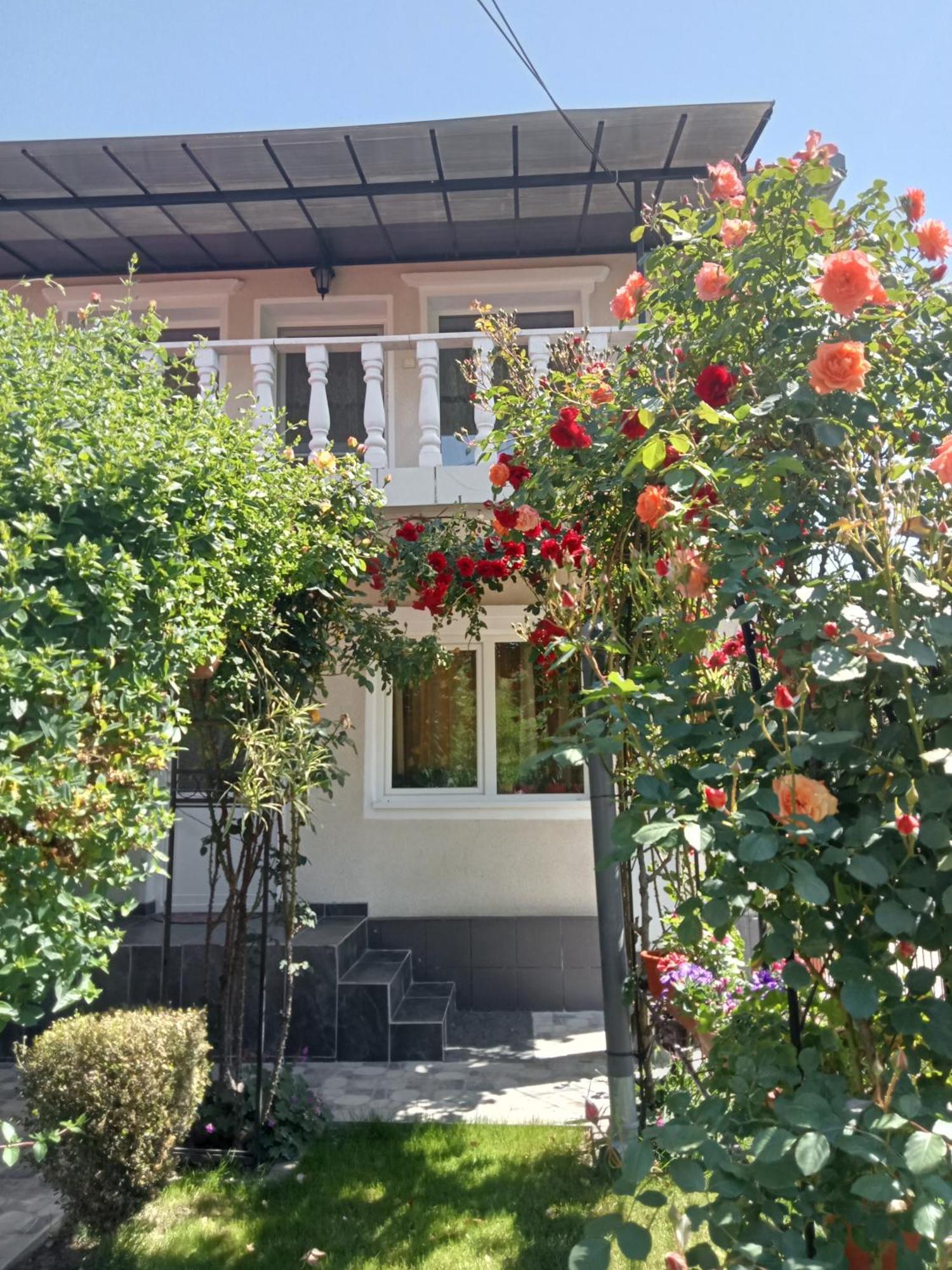 Villa Jj Zavoi Orăştie Exterior foto